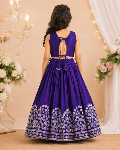 Girls Embroidered Lehenga Choli Set – Purple
