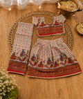 Brown Dandiya Garba Print Lehenga Choli Set