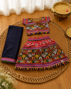 Pink Multicolor Embroidered Lehenga Choli Set with Navy Dupatta